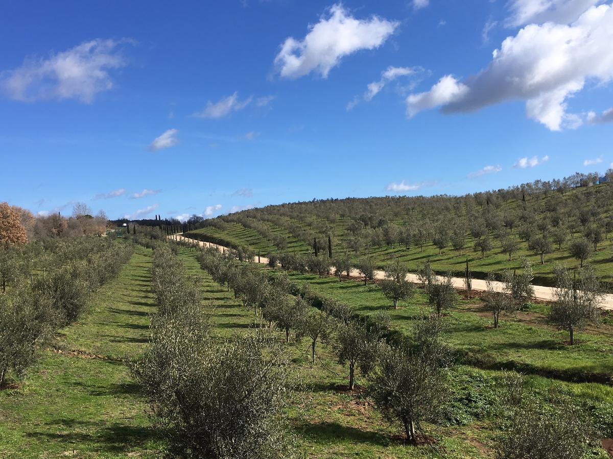 Il Podere Di Marfisa Farnese Экстерьер фото